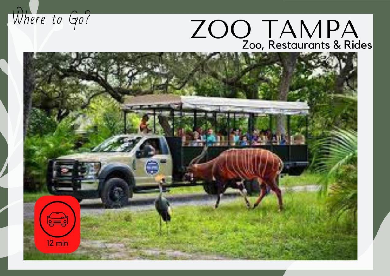 Cozy Home In Tampa Near Ybor & Busch Gardens エクステリア 写真